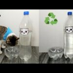 Crea un bebedero de agua casero para tu gato: guía paso a paso