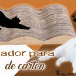 Cómo hacer un rascador de cartón para tu gato en casa