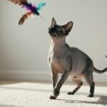 Las mejores razas de gatos hipoalergénicos: disfruta de la compañía felina sin preocupaciones