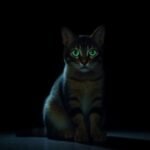 Por qué tu gato ve en la oscuridad (y el mito que casi todos creen)