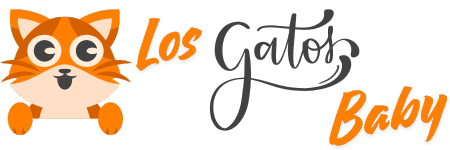 ▷ Los Gatos Baby | Razas de Gatos 🐈