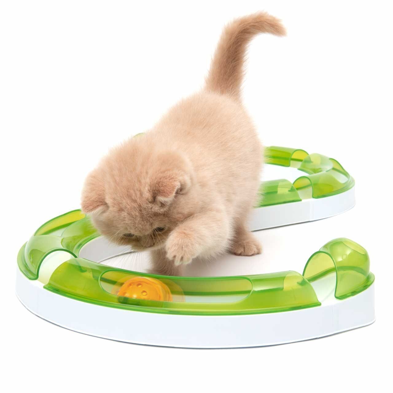 Gato jugando con Catit Senses Play Circuit, circuito interactivo con pelota