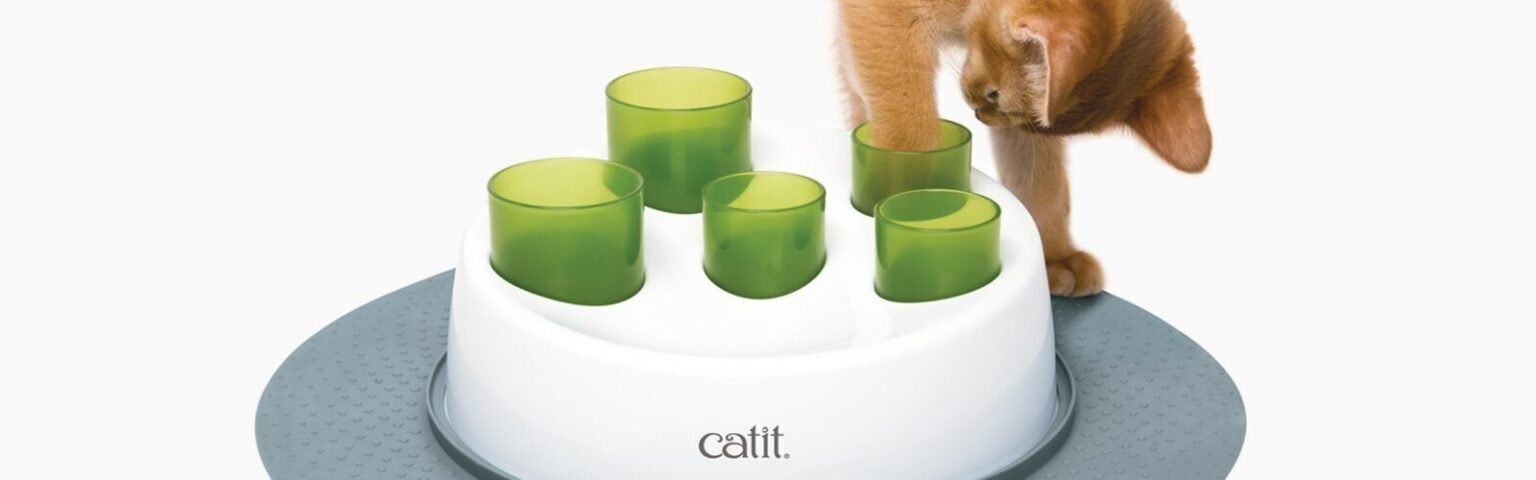 Gato usando Catit Senses Digger para sacar comida con la pata