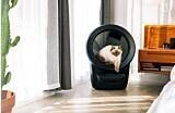 Gato usando Litter-Robot 4, arenero autolimpiable automático