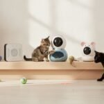 Best Camera for Cats: Furbo 360 vs eufy S350 vs Catit PIXI