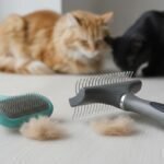 Mejor cepillo para quitar pelo muerto en gatos: pelo corto y largo no usan la misma herramienta